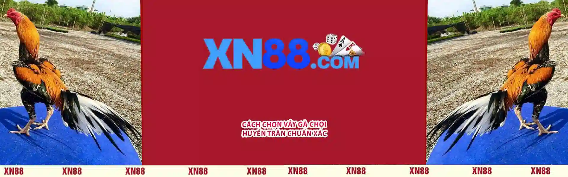 xn88 banner 1