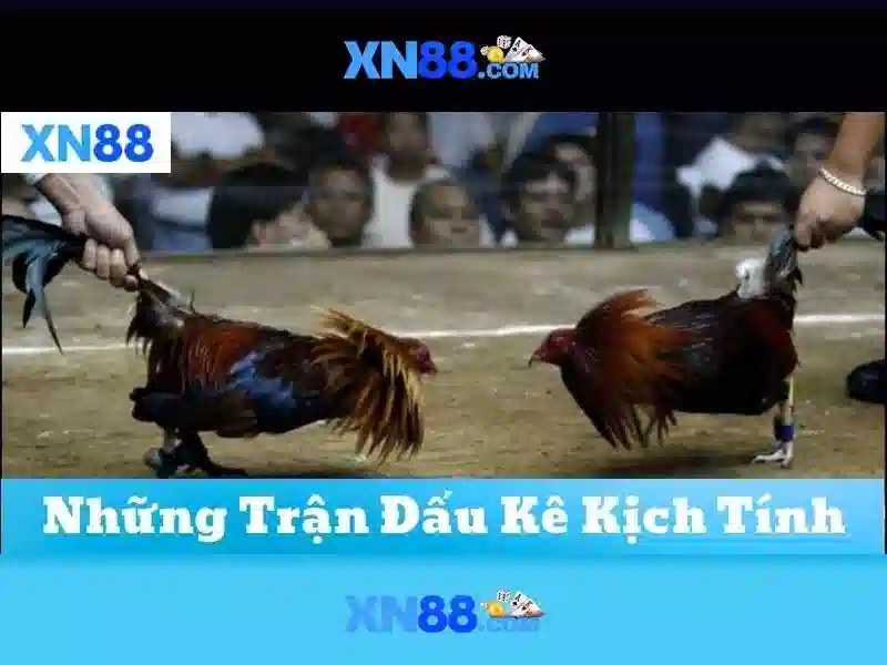 Hướng dẫn bắt đầu