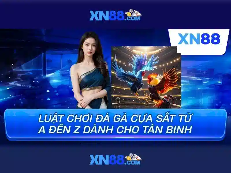 Khuyến mại và hỗ trợ khách hàng
