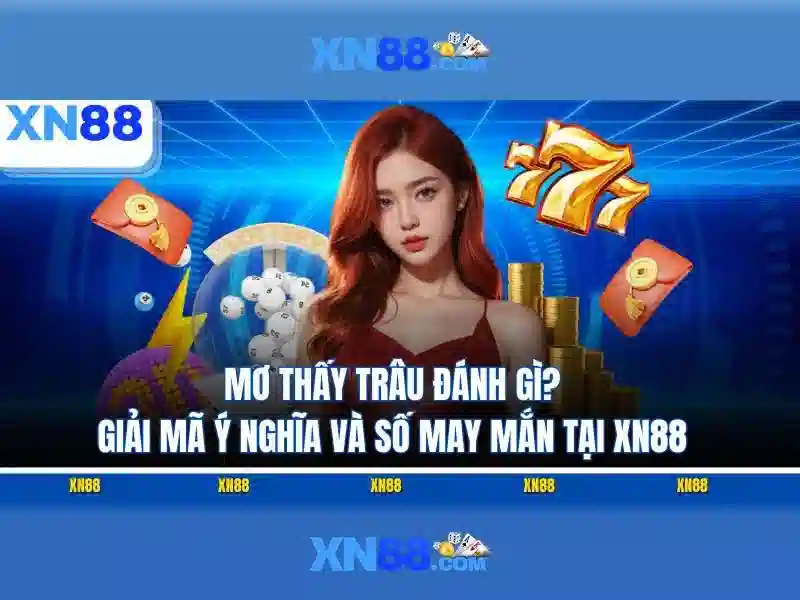 Liên hệ và hỗ trợ khách hàng