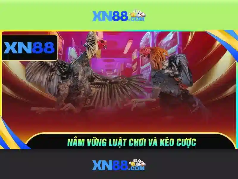 XN88: Nền tảng trò chơi trực tuyến và trải nghiệm người dùng