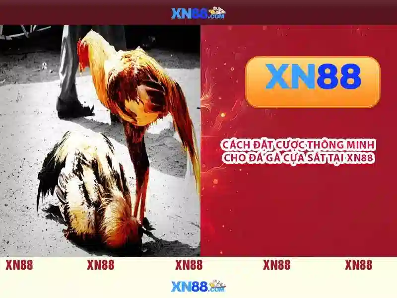 Lý do nên tin dùng xn88