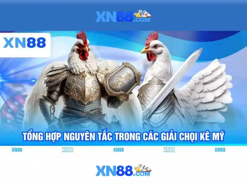 Quyền riêng tư và lưu ý pháp lý