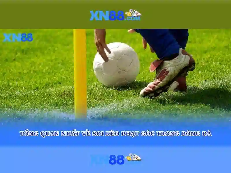 Xn88: Nền tảng cá cược trực tuyến uy tín và trải nghiệm tốt