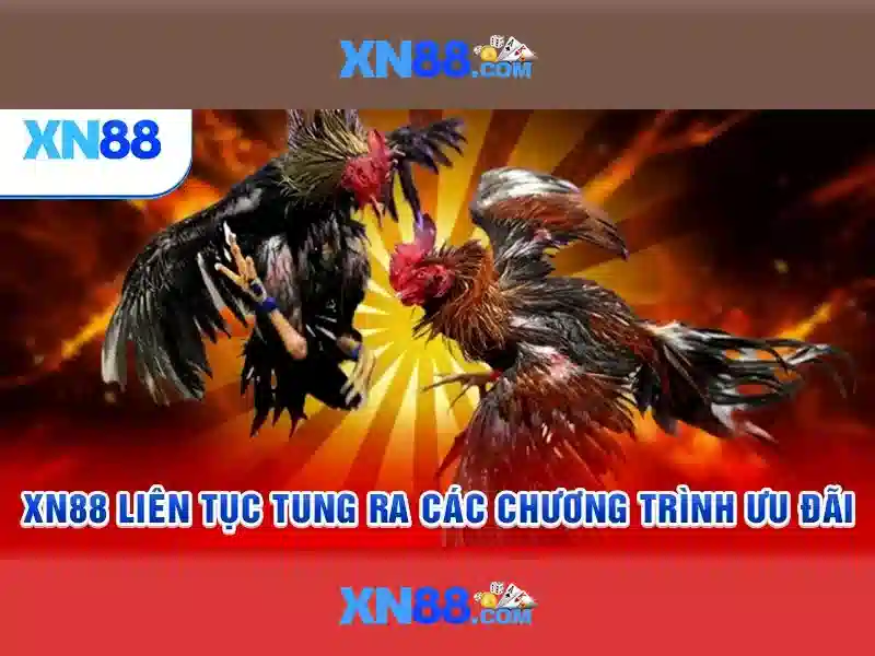 xn88: Đánh giá và thông tin toàn diện