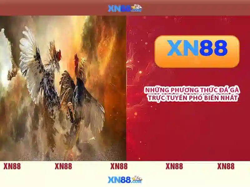 xn88: một cái nhìn tổng quan