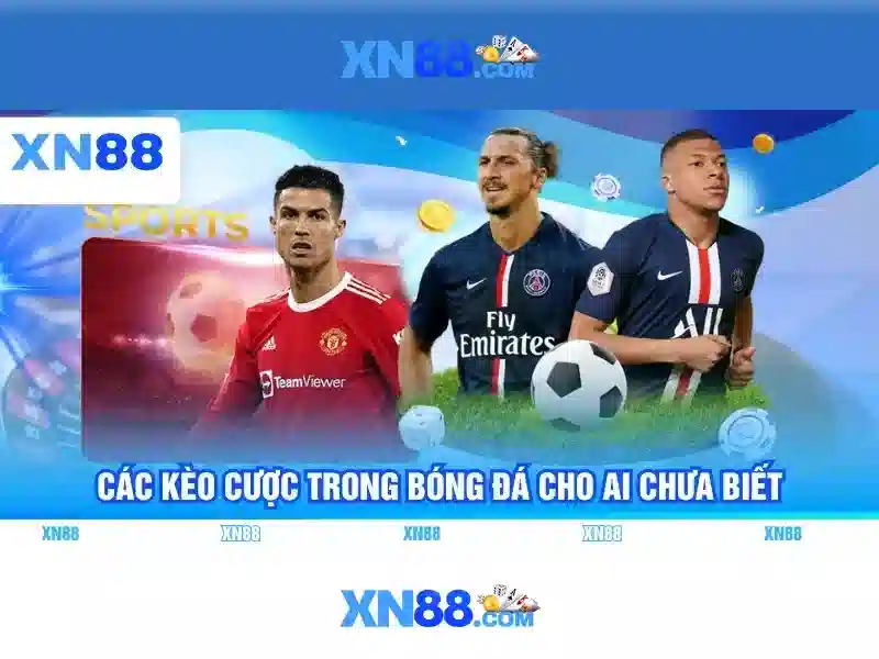Tính năng nổi bật
