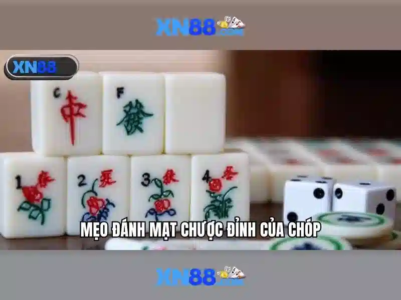 Xn88 là gì và những điều bạn cần biết