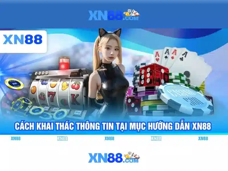 Đánh giá nền tảng và chất lượng