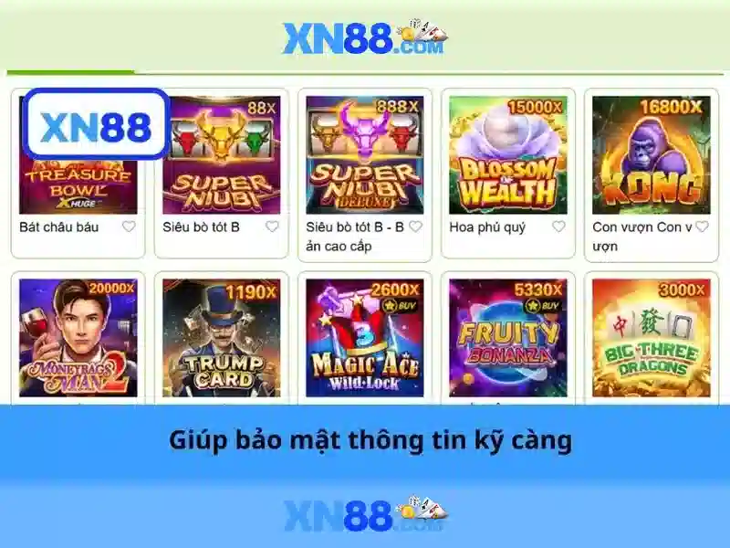 Lựa chọn và trải nghiệm