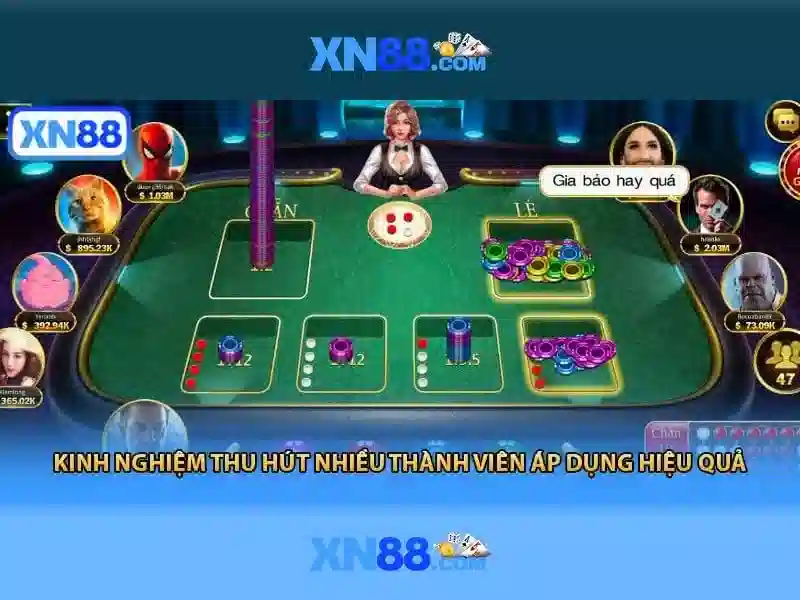 Hỗ trợ khách hàng và dịch vụ