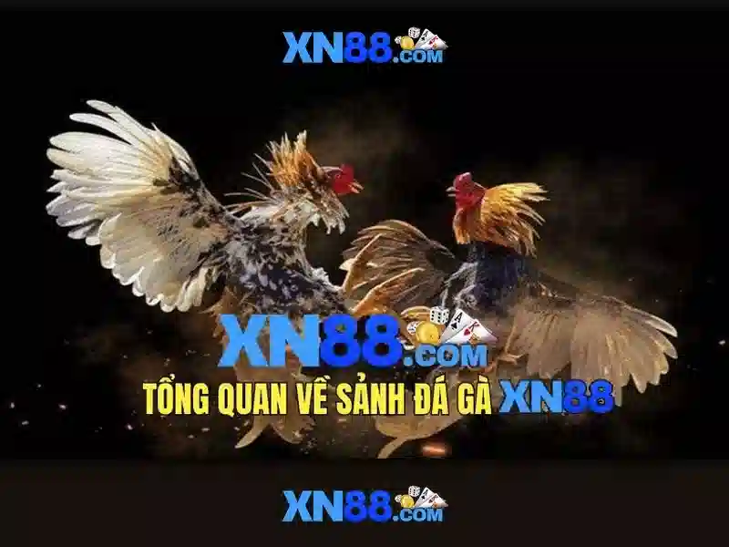 Giới thiệu về Xn88
