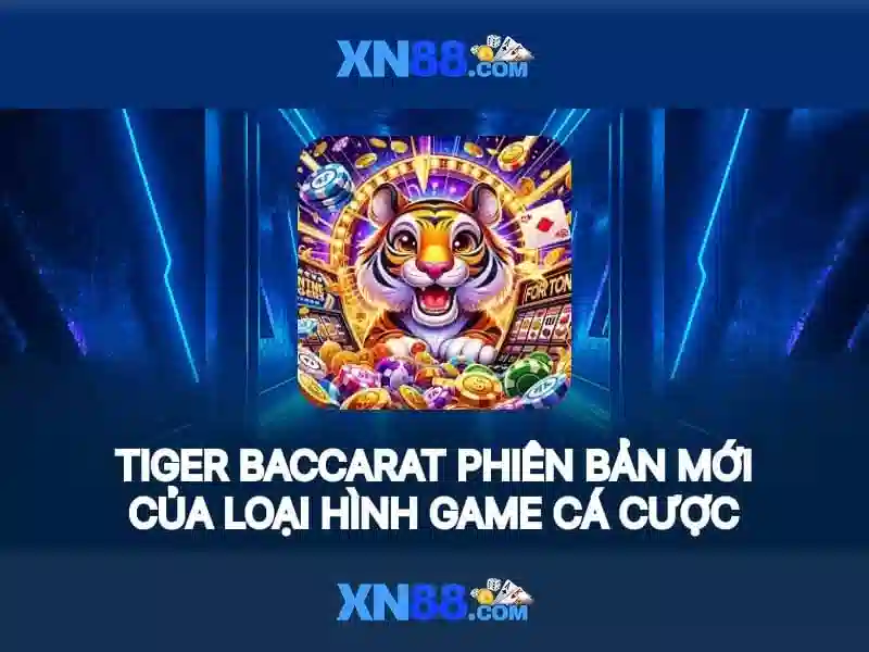 Tổng quan liên hệ xn88