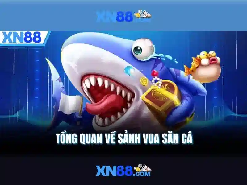 ket-luan-toan-bo