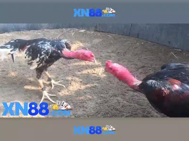 Nguồn gốc và sứ mệnh