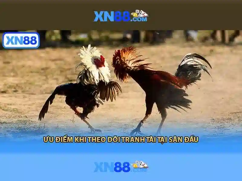 Giao-dien-2