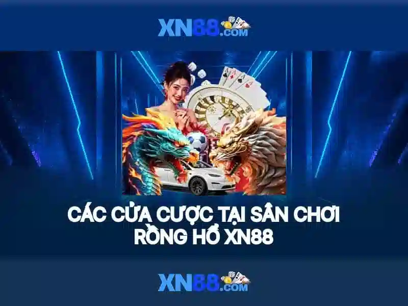 Lĩnh vực hoạt động