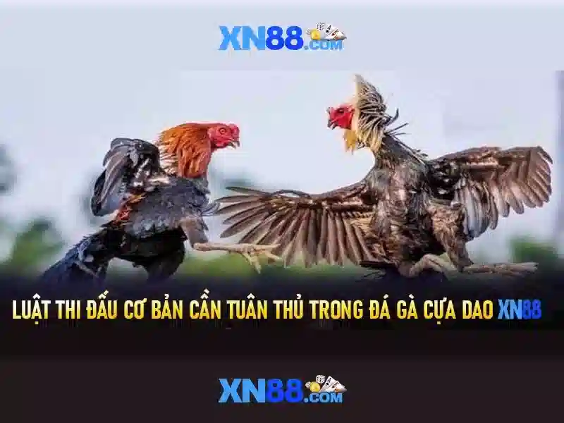 Giới thiệu về xn88