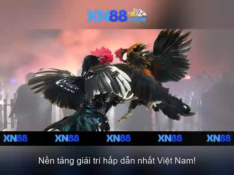 Xn88: Nền tảng giải trí và cá cược trực tuyến ở Việt Nam