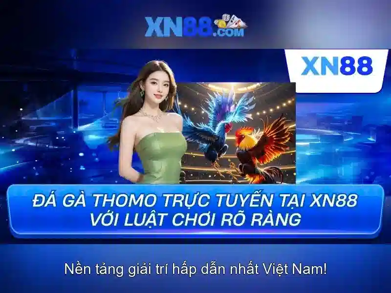Tổng quan về xn88