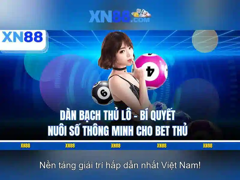 Lời khuyên để tối ưu trải nghiệm