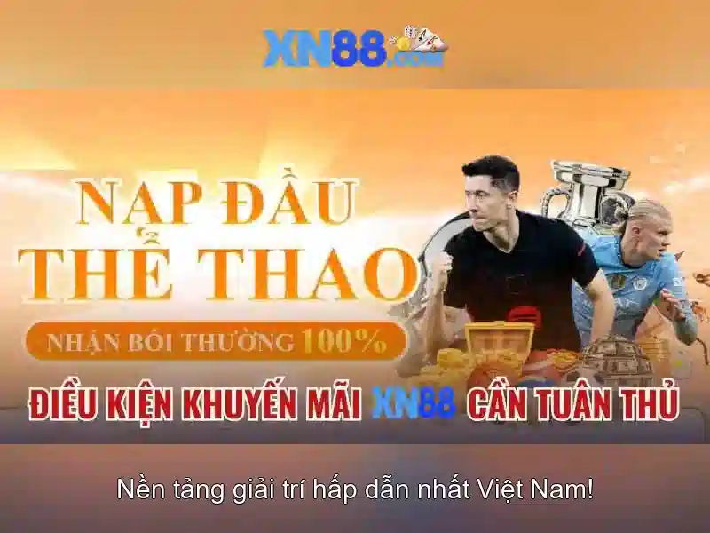 Các sản phẩm của XN88