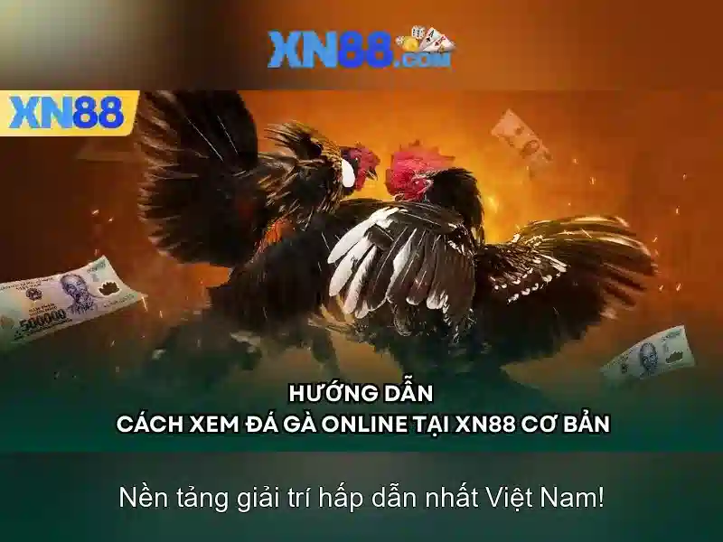 Hướng dẫn người chơi và hỗ trợ