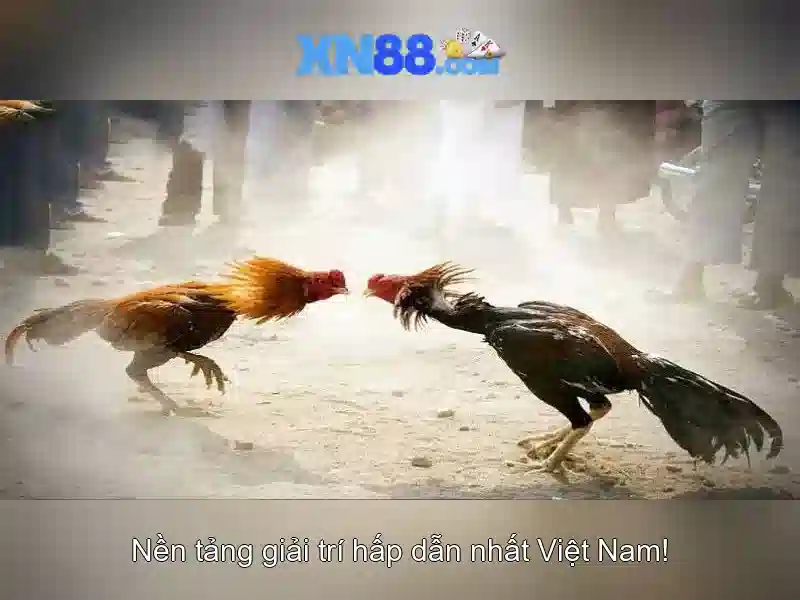 Cảnh báo thận trọng khi chơi