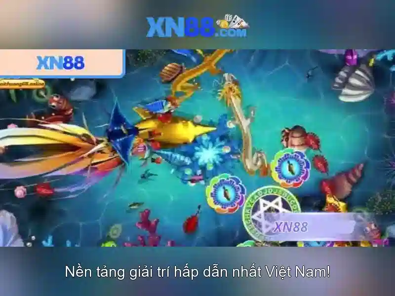 Giới thiệu về xn88