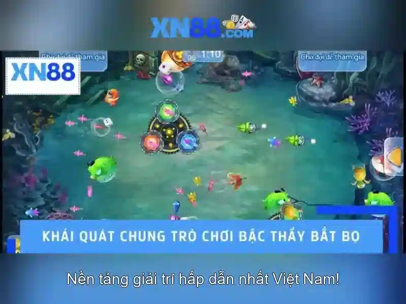 Giới thiệu về xn88