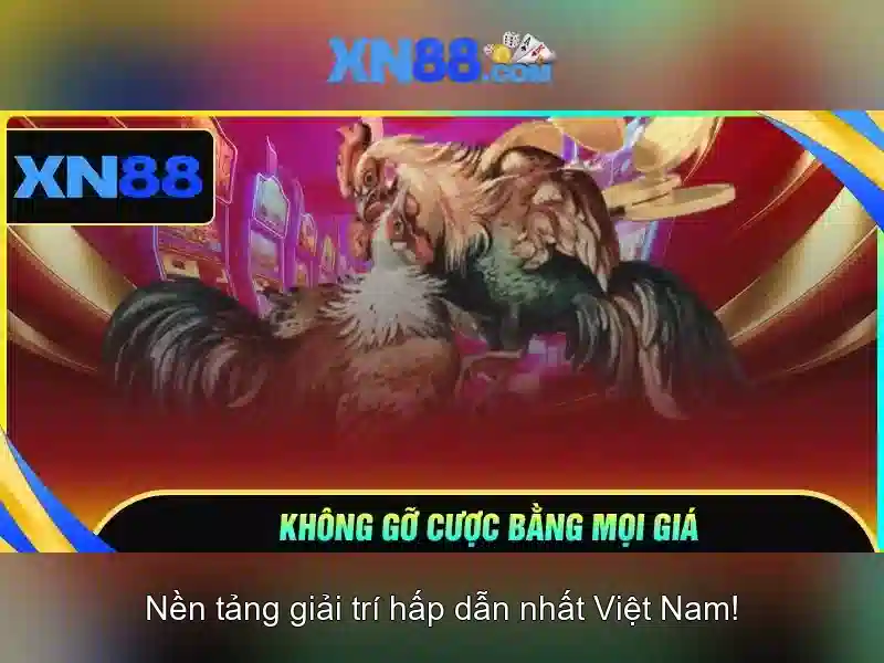 Độ tin cậy và an toàn