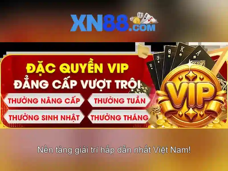 Các đặc điểm nổi bật