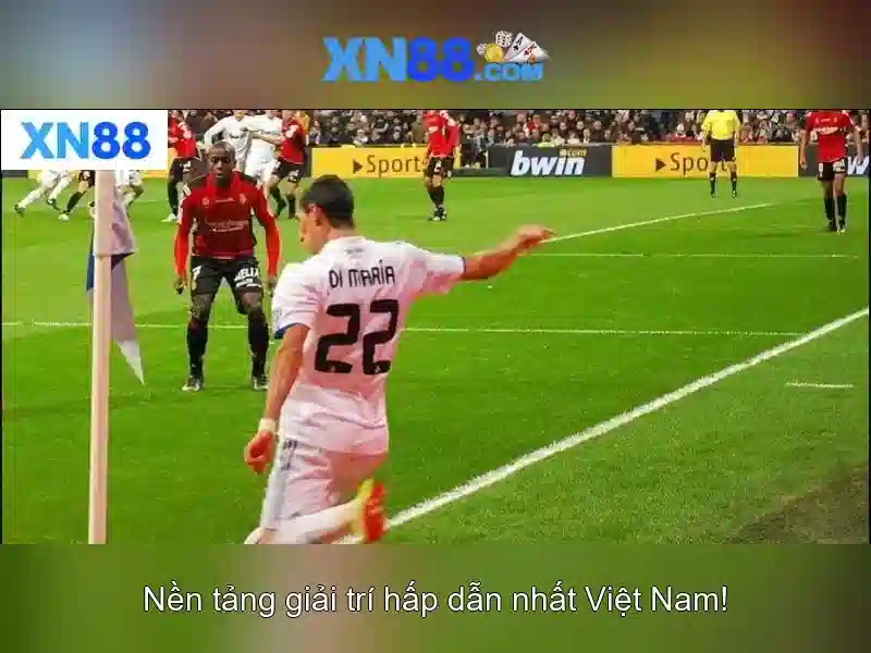 Xn88: Tổng quan và ảnh hưởng