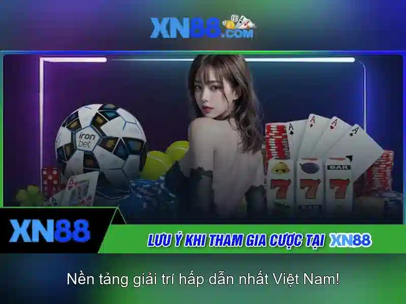 Cộng đồng và tương tác người dùng