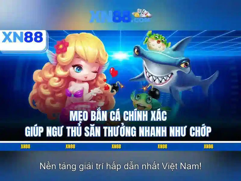 Kết luận về xn88