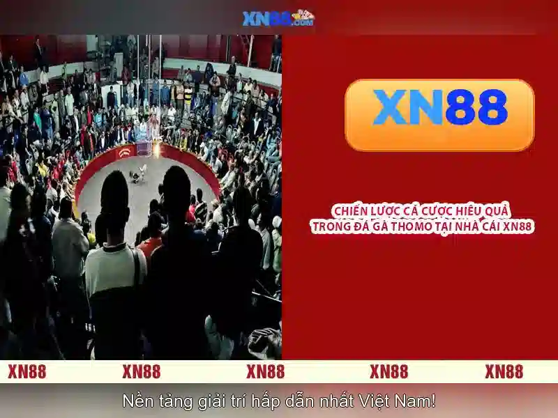 xn88: Tổng quan và trải nghiệm