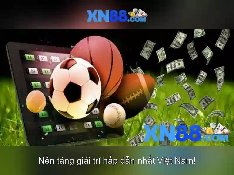 Ứng dụng và trải nghiệm người dùng
