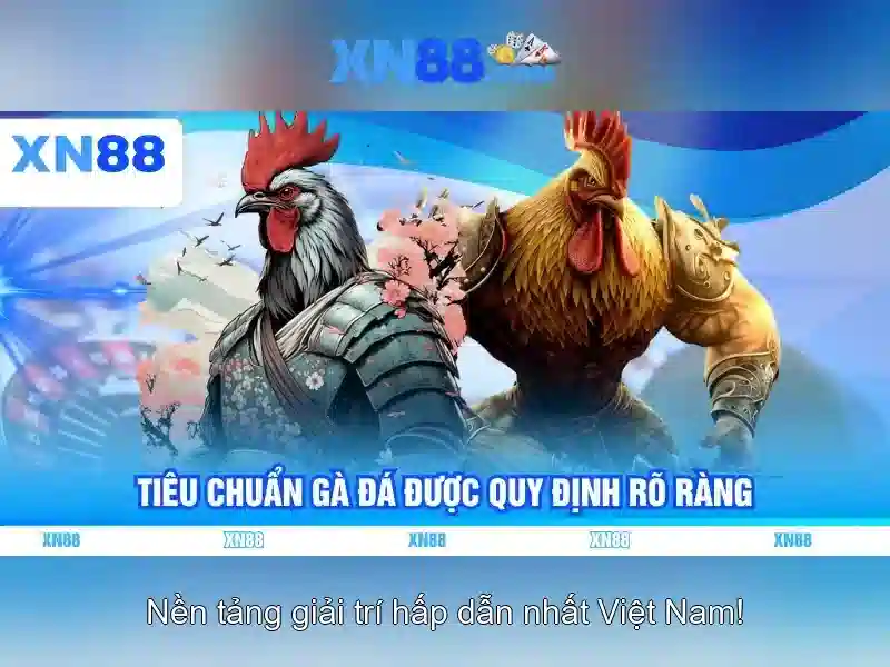 Đánh giá về giao diện và trải nghiệm người dùng của Xn88