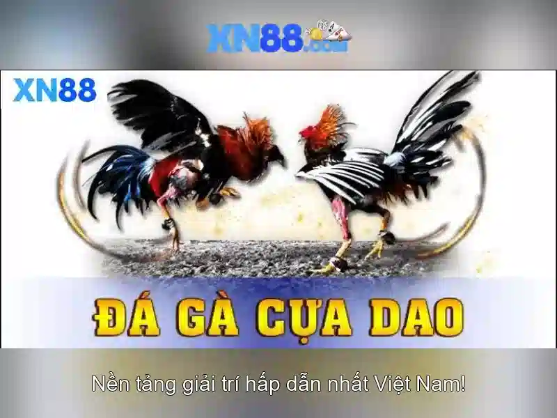 Nguồn gốc và tầm nhìn