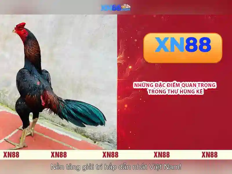 An toàn và bảo mật