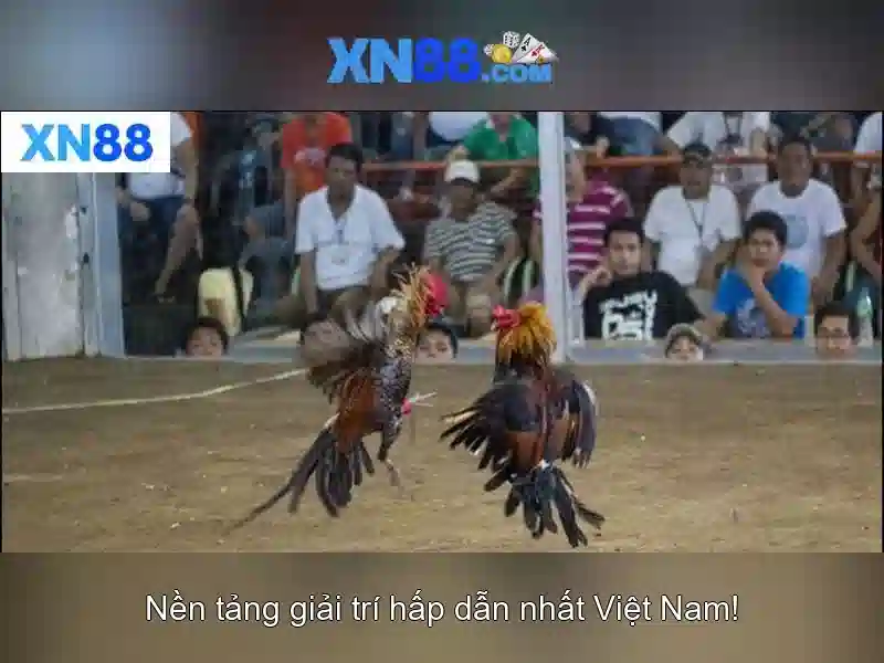 xn88: Nền tảng cá cược trực tuyến nổi bật tại Việt Nam