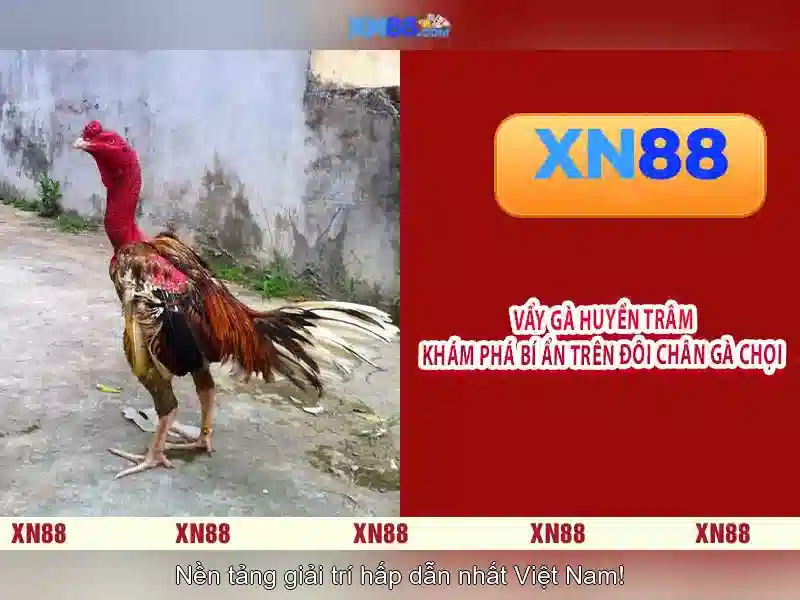 Khuyến mãi và chơi có trách nhiệm